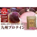 野菜類 加工品 九州 プロテイン 280g