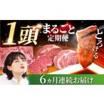 牛肉 セット 牧場直送 6回定期便 産しろいし牛
