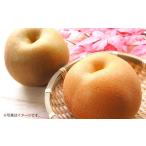 ふるさと納税 梨 熊本県 - 吉野梨 豊水 約5kg 2025年8月上旬発送開始 なし ナシ 梨 豊水梨 果物 くだもの フルーツ 熊本県産