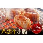 牛肉 ホルモン 情報雑誌で紹介 八雲牛 小腸 合計1.2kg