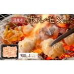 牛肉 ホルモン 牛 ホルモンセット 500g