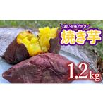 野菜類 サツマイモ おだやか焼きいも 紅はるか