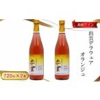ふるさと納税 ワイン セット 島根県 出雲市 島根わいん 出雲デラウェア オランジュ 2本セット