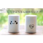 �ӂ邳�Ɣ[�� �H��E�O���X ���� ���쌧 ���v�䒬 ���炩�΂����@�A�уJ�b�v�i�A�юx���j�mYA-109�n