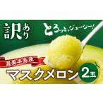 ふるさと納税 メロン メロン青肉 愛知県 田原市 訳あり 先行予約 渥美半島産 マルカ農園のマスクメロン 2玉 (1玉1.3kg以上) ご自宅用 めろん 箱詰め フルーツ …