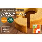 焼菓子 チョコレート バウムクーヘン 2個セット
