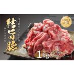 ふるさと納税 豚肉 岐阜県 白川村 結旨豚 切落とし 500g×2パック 計1kg 冷凍真空パック | 肉 お肉 豚肉 国産 切り落とし 切落し 薄切り 訳あり 白川郷 岐阜県…