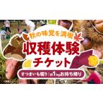 体験チケット 収穫体験 チケット さつまいも掘り