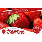 ふるさと納税 いちご 香川県 東かがわ市 No.4631-2655 香川県オリジナル品種 ご家庭用さぬきひめ苺 6パック