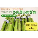 fu.... налог овощи вид спаржа Kagawa префектура восток ... город No.4631-2656 спаржа .... ... примерно 1kg LM смешивание 