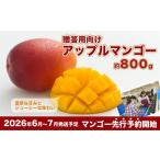 fu.... налог манго Okinawa префектура юг замок город 2026 год отправка * предшествующий предварительный заказ .. для предназначенный Apple манго примерно 800g( несессер )