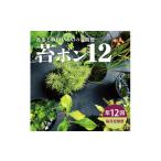 花 苗木 12回定期便 苔玉と和BONSAIの定期便