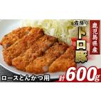 豚肉 ヒレ K-485-B 産さつま黒豚 シャトーブリアン 計600g
