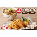 鶏肉 おおいた郷土食セット 鶏天 とりめし