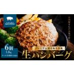 肉 ハンバーグ 海老沢精肉店 プレミアム 黒毛和牛合挽