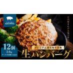プレミアム 黒毛和牛 合挽 生ハンバーグ 約 200g