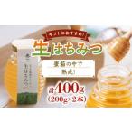加工品等 はちみつ 生はちみつ 400g