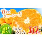 ふるさと納税 果物類 みかん 熊本県 玉名市 訳あり くまもと みかん 約 10kg 11月頃〜2月頃まで 発送 | 果物 くだもの フルーツ 柑橘 柑橘類 みかん ジューシ…