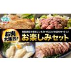 惣菜 レトルト 冷凍 お楽しみセット 鶏肉 豚肉