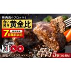 肉 ハンバーグ 黒毛和牛 豚 藻塩デミグラスハンバーグ