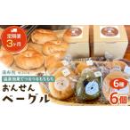 パン 定期便 3か月 おんせんベーグル 6種類6個