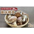 fu.... налог овощи вид .. . префектура Tochigi город Utsunomiya предшествующий прием есть перевод префектура Tochigi город Utsunomiya производство . пол ..2kg 2025 год 11 месяц после последовательный отправка предположительно 