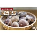 fu.... налог овощи вид .. . префектура Tochigi город Utsunomiya предшествующий прием префектура Tochigi город Utsunomiya производство . пол ..1kg 2025 год 11 месяц после последовательный отправка предположительно 