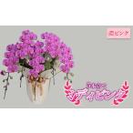 花 指定日対応 ミディピンク 濃ピンク 5本立て