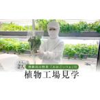 fu.... налог body . билет Gifu префектура высота гора город .. высота гора овощи [......] есть растения завод экскурсия ( взрослый 2 человек )| завод экскурсия body . учеба долгое время ряд выходных дней зеленый leaf садоводство chike...