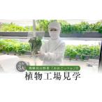 fu.... налог body . билет Gifu префектура высота гора город .. высота гора овощи [......] есть растения завод экскурсия ( взрослый 3 человек )| завод экскурсия body . учеба долгое время ряд выходных дней зеленый leaf садоводство chike...