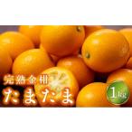 みかん 柑橘類 完熟きんかん たまたま 1kg