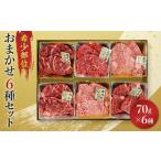 牛肉 セット 博多和牛A4ランク以上 希少部位おまかせ6種セ…