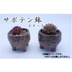 陶磁器 漆器 ガラス 眞名焼 サボテン鉢 小サイズ2個