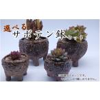 陶磁器 漆器 ガラス 眞名焼 サボテン鉢 小+大サイズ