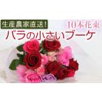 花 苗木 花束 生産農家直送 バラの小さいブーケ