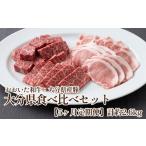 牛肉 焼肉 バーベキュー 5ヶ月定期便 5ヶ月で食べ比べ