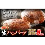 ハンバーグ 熊野牛 生ハンバーグ 8個入り