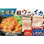 壱岐産剣先イカフィレ 80g