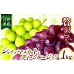 ふるさと納税 ぶどう マスカット 長野県 松川村 シャインマスカット と クイーンルージュ? の コラボ 約1kg 2026年先行予約 | ちのふぁーむ 果物 ぶどう 葡萄 …