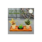 花 プリザーブドフラワー ミニ盆栽 ミニ観葉植物