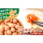 地域のお礼の品 オメガ卵 輝 40個