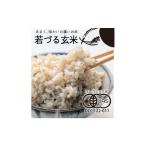 ふるさと納税 玄米 兵庫県 多可町 若づる米 オーガニック 有機米 きぬむすめ 玄米 3kg 1175