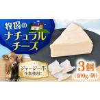 加工品等 チーズ ナチュラルチーズ 3個セット