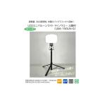 防災グッズ LEDミニバルーンライト マイノウミー