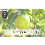 ふるさと納税 梨 山形県 尾花沢市 先行予約 ラ・フランス 3kg 11月上旬〜11月中旬頃発送 令和7年産 2025年産 ラフランス 梨 洋梨 果物 フルーツ 山形県産 送料…