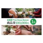 地元のお買物券 商品券 盆栽体験ワークショップ参加及び樹木