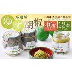 fu.... налог овощи вид приправа Kumamoto префектура человек . город уникальная вещь человек . лампочка .. [ лампочка . река yuzu ..] 40g×12 шт. комплект итого 480g.... yuzu ..koshou приправа ручная работа местного производства 9...