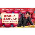 りんご 訳あり品 勝ち残った涙のサンふじ 5kg