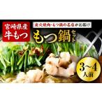 モツ鍋 もつ鍋セット 3~4人分