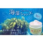 美容 50年超のロングセラー 海藻 シャンプー 6個